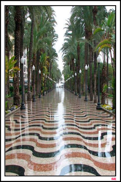 EL PASEO DE ALICANTE