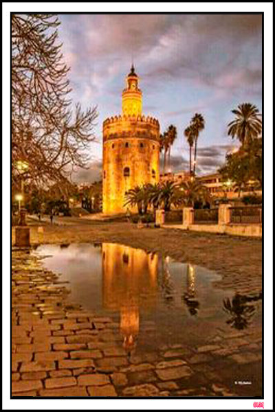 LA TORRE DEL ORO